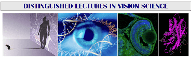 Distinguished Lectures in Vision Science